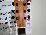 Acoustic guitar. Sandy S403
