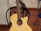 Acoustic Guitar ( TGM)