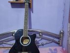 Acoustic guitar TGM