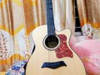 Acoustic Guiter