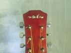 Acoustic guiter