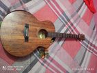 Acoustic Guitter