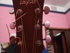 Acoustic guitter, Tauyste, Modle:TS-j35-A