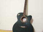 Acoustic signature guiter