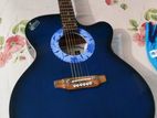 Acoustic Signature Guitar