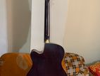Acoustica premium Guitar for sell