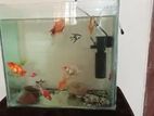 Acquriam sell