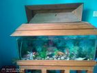 Aquarium for sale