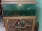 Aquarium For Sell