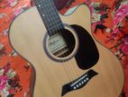 Adam Smith Guitar