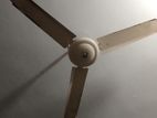 Abc Fan 56 Inch
