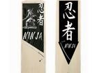 Aesthetic Cricket Bat