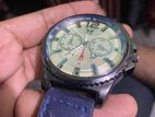 Ag Watch ( Italian )