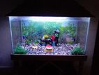 Ai aquarium ta full set-up shoho sell hobe