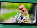 Aiwa-32-Inchi Smart Tv