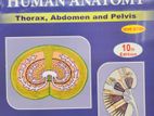 AK DATTA Human anatomy 3 part 2024 edition for medical