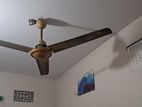 Fan for sell