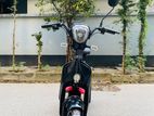 Green bangla E-bike 2024