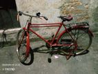 Bicycle for sell