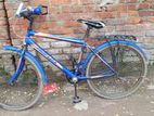 Bicycle for sell