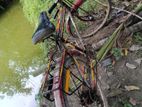 Bicycle for sale