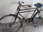 Bicycle for sell