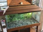 Aquarium Sell