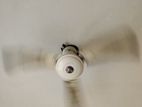 Celling Fan