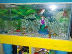 akti aquarium fish tank ful set