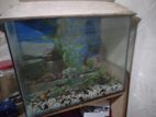 Aqurium for sale