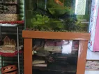 Aqurium for Sell