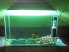 Aquarium for sell