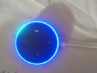 Alexa 2nd Gen