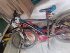 Cycle for sale