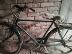 Bicycle for sell