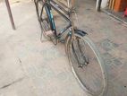 Bicycle for Sell