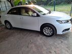 Allion new Shape car For Rent