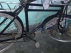 Cycle for sell