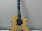 Tyste Ts570-40 Guitar