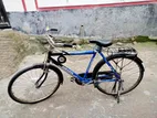 Duranta Extreme Bicycle for Sale