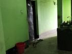 অল্পদামে গ্যাস সহ বাড়ি কিনুন ঢাকার টংগীতে