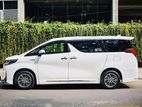 Alphard Business Class For Rent