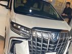 Alphard Business Class For Rent