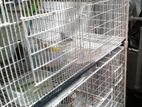 অলরাউন্ডার, শৌখিন পাখির সাদা খাঁচা (All-Rounder Smart White Bird Cage)