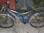 Alton Sk forse bicycle