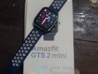 Amazfit Gts 2 mini