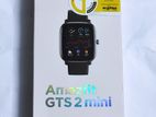 Amazfit GTS 2 mini