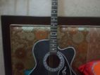 Guiter sell