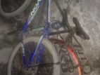 Bicycle for sell