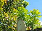 Set Top Box